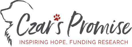 Czars Promise